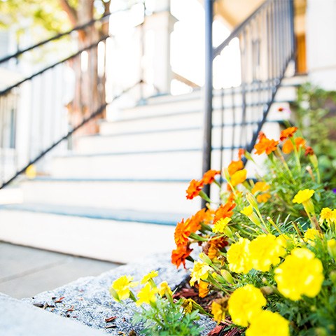 Yellow and orange flowers near the steps of a home.