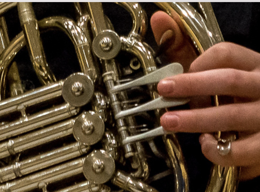 Valentine’s Concert with Tactile Tour of Instruments