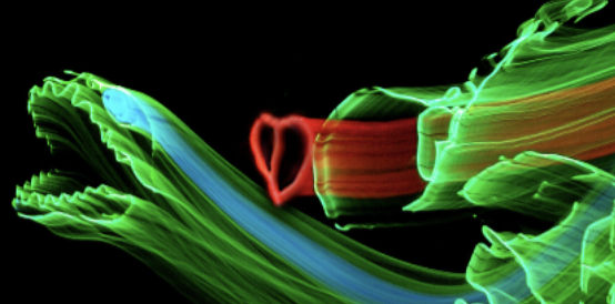 Lightwire Theater’s Dino-Light