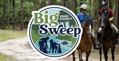 Big Sweep Spring 2026