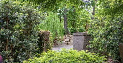 Chapel Hill Garden Tour