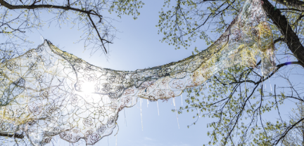 Air Chrysalis: Celebrate the Artwork