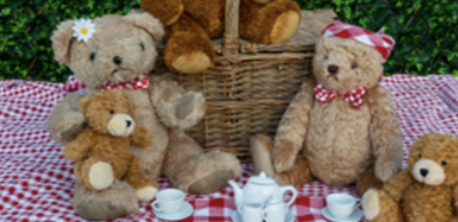 Teddy Bear Picnic