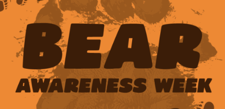 Bear Awareness Week