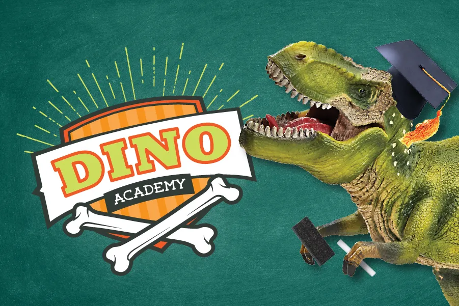 Dino Academy