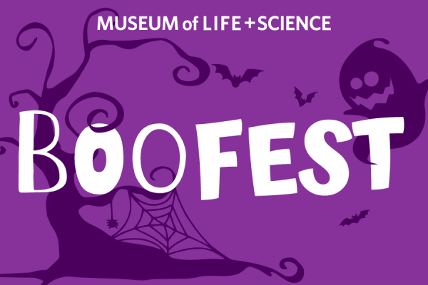 🦇 BooFest at the Museum of Life and Science