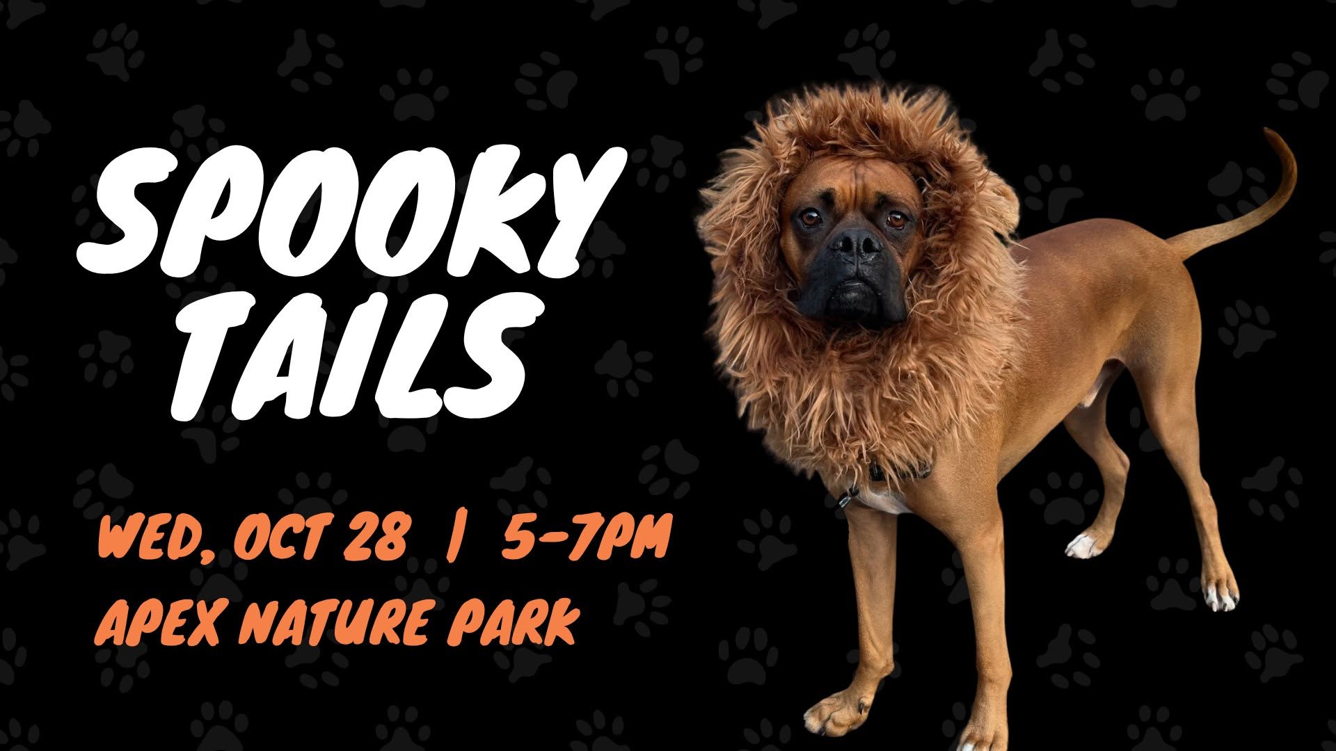🐾 Spooky Tails